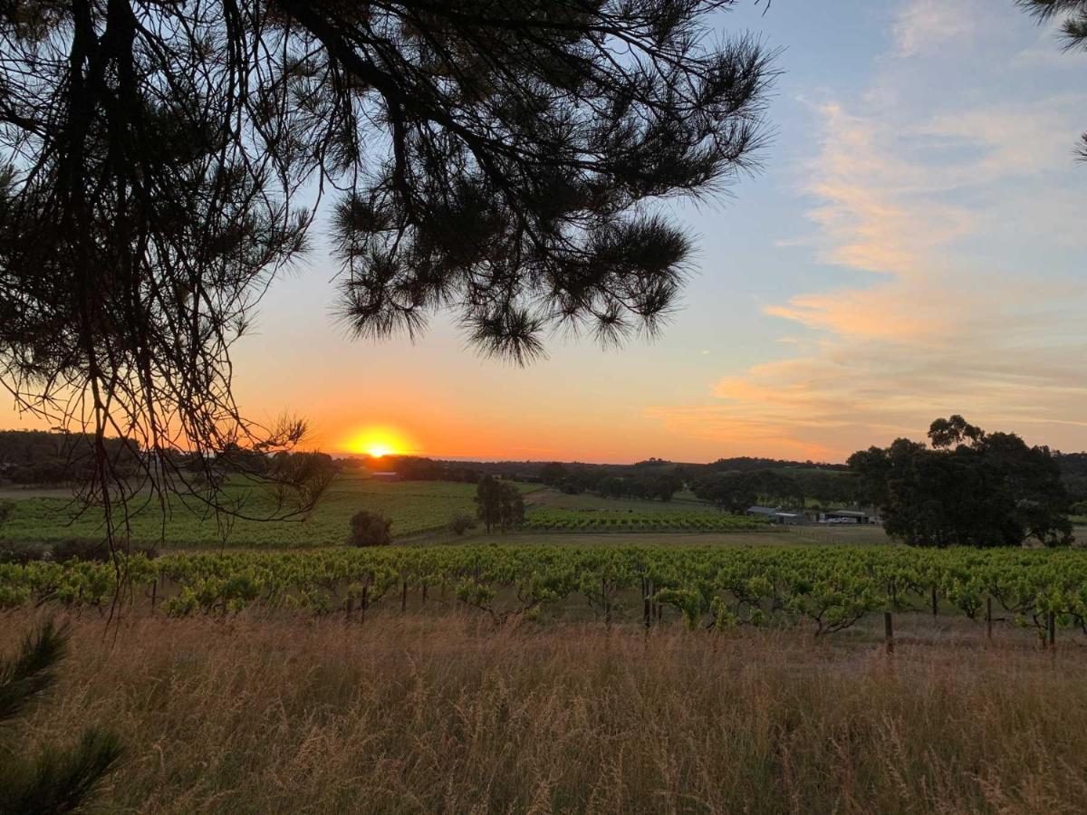 Bella Cosa Mclaren Vale Exterior foto